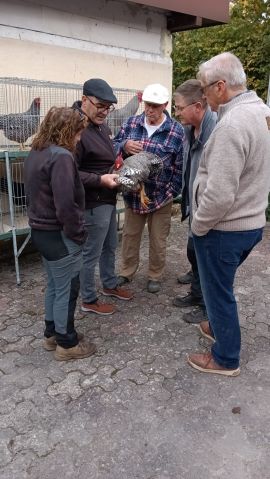 Zuchtanlage Bild Nr.5