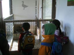 Besuch des Kindergartens St. Antonius (21.04.10) Bild Nr.4