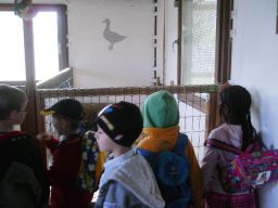 Besuch des Kindergartens St. Antonius (21.04.10) Bild Nr.5