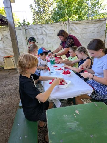 Zuchtanlage Bild Nr.8