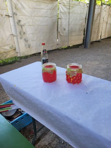 Zuchtanlage Bild Nr.12